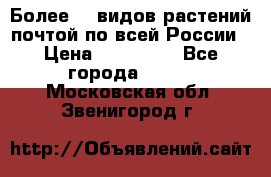 Более200 видов растений почтой по всей России › Цена ­ 100-500 - Все города  »    . Московская обл.,Звенигород г.